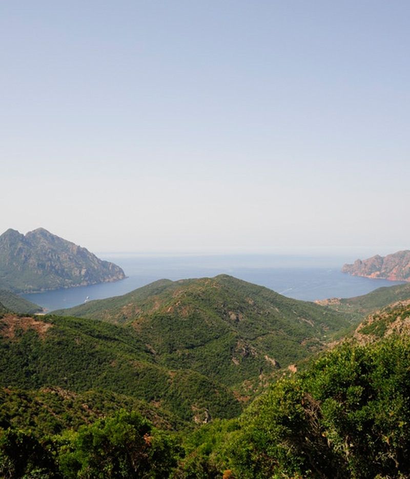 The mountains of Corsica