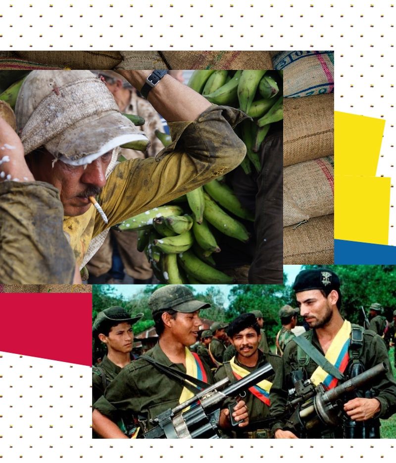 FARC Coffee Farmers
